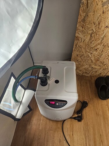 Growreport Bild 3