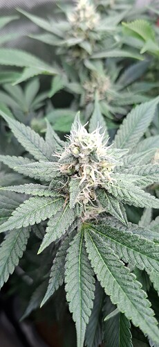 Growreport Bild 14