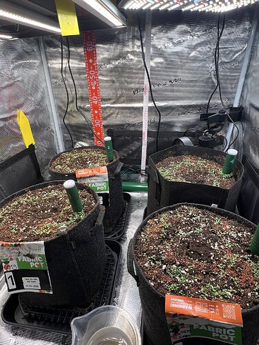 Growreport Bild 6