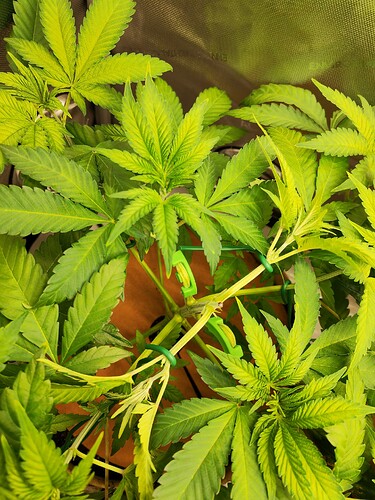Growreport Bild 30