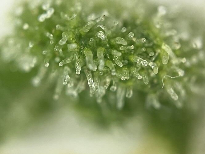 Growreport Bild 19
