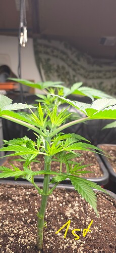 Growreport Bild 20