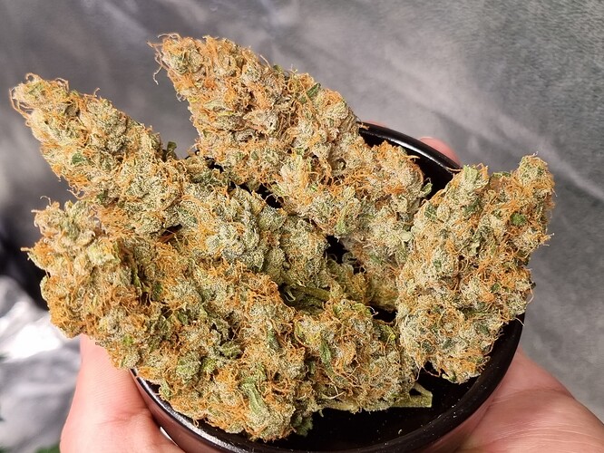 Growreport Bild 12