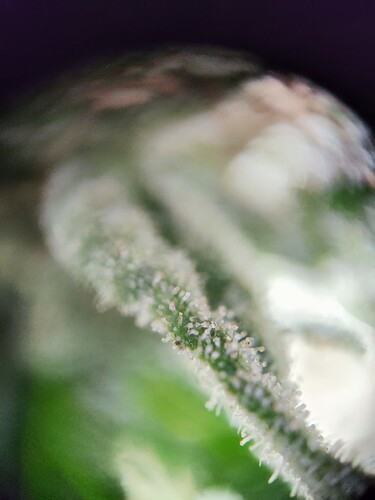 Growreport Bild 12