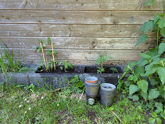 PXL_20250509_143354235