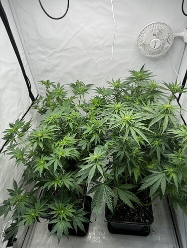 Growreport Bild 2