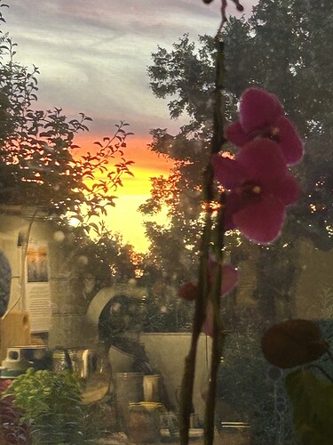 Growreport Bild 22