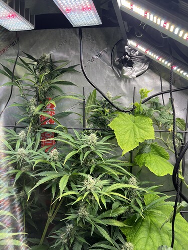 Growreport Bild 17