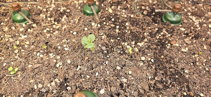 Growreport Bild 30