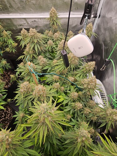 Growreport Bild 9