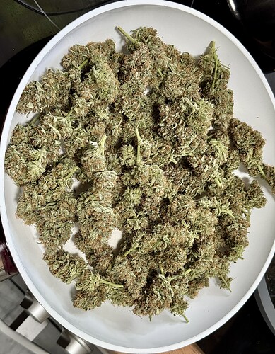 Growreport Bild 1