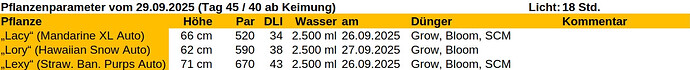 Growreport Bild 16