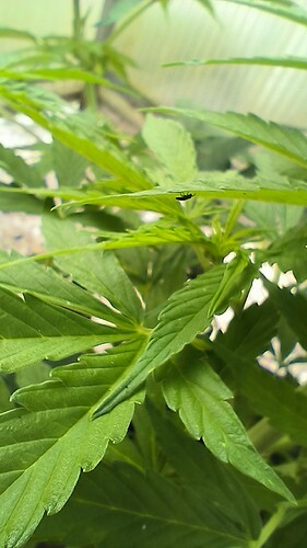 Growreport Bild 2