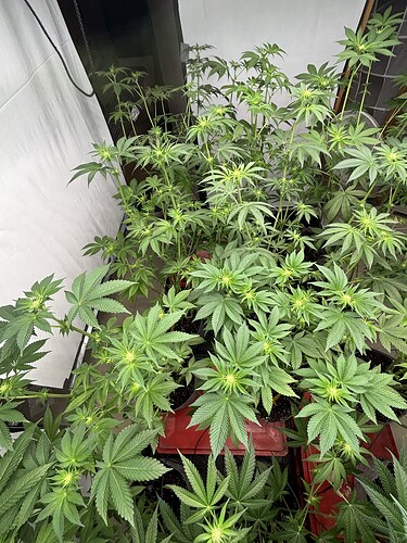 Growreport Bild 8