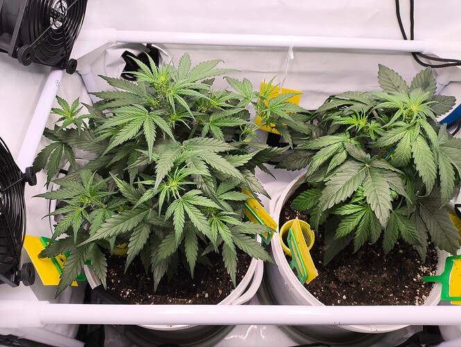 Growreport Bild 5