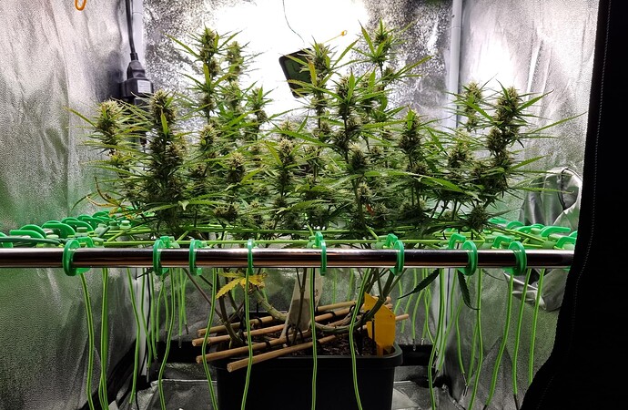 Growreport Bild 22