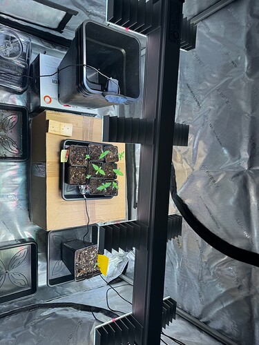 Growreport Bild 4