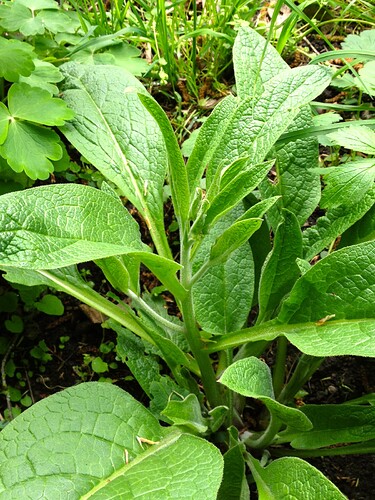 Growreport Bild 38