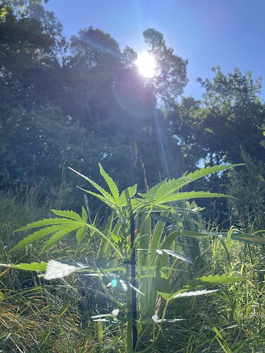 Growreport Bild 16