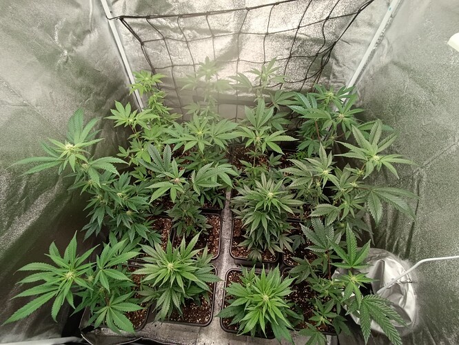 Growreport Bild 10