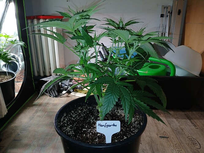 Growreport Bild 14