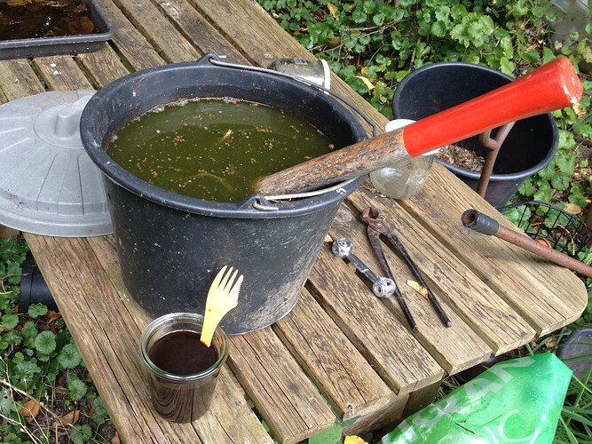 Growreport Bild 45