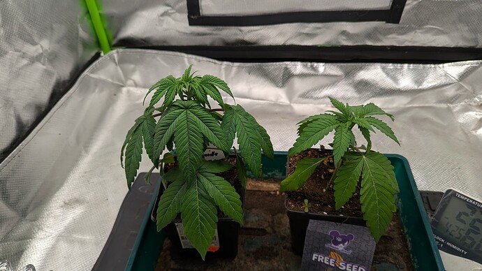 Growreport Bild 11