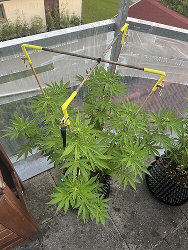 Growreport Bild 6