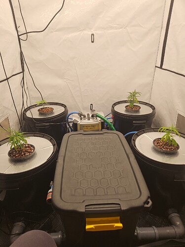 Growreport Bild 16