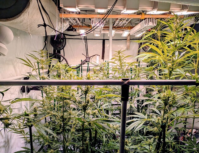 Growreport Bild 2