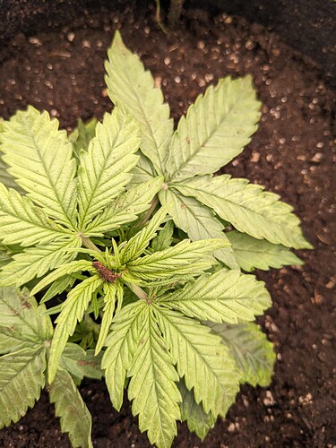 PXL_20240507_231007557