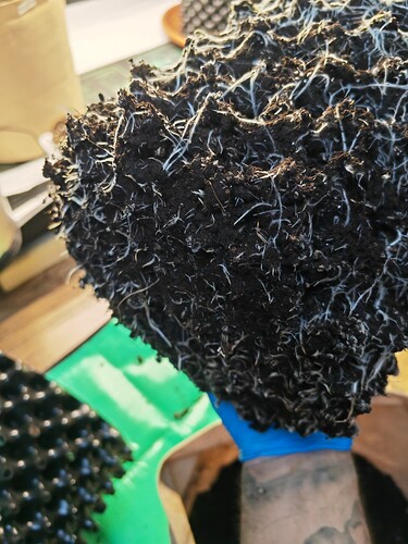 Growreport Bild 12