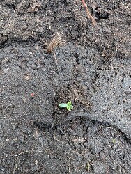 PXL_20250530_102829763