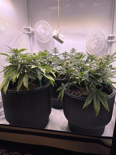 Growreport Bild 2
