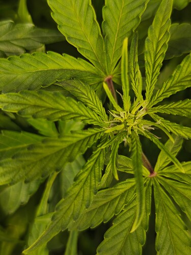 MVIMG_20251016_171316