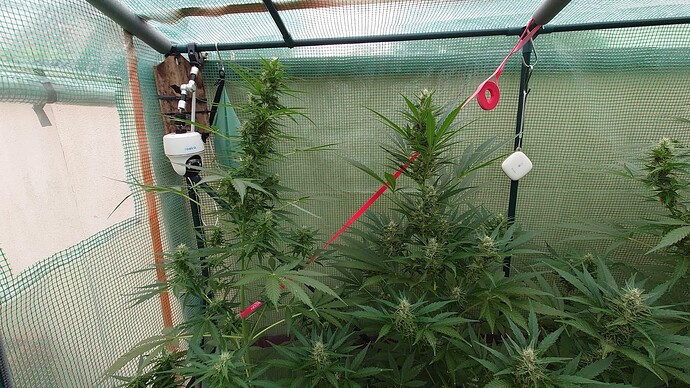 Growreport Bild 16