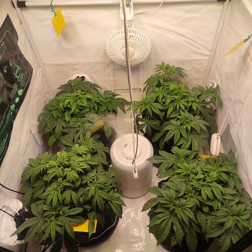 Growreport Bild 3