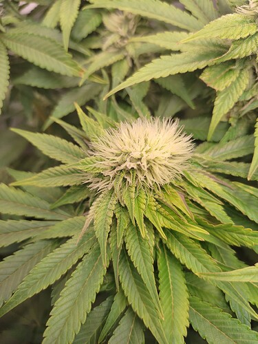 Growreport Bild 12