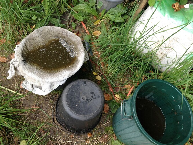Growreport Bild 36