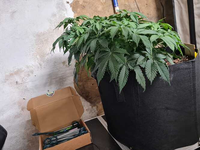 Growreport Bild 7