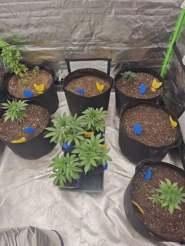Growreport Bild 30