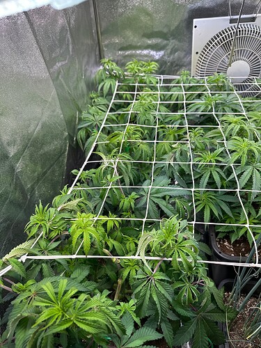 Growreport Bild 24
