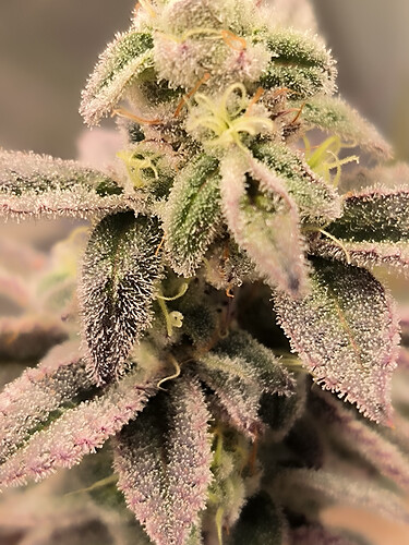 Growreport Bild 14