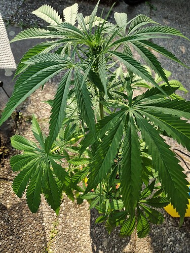 Growreport Bild 21