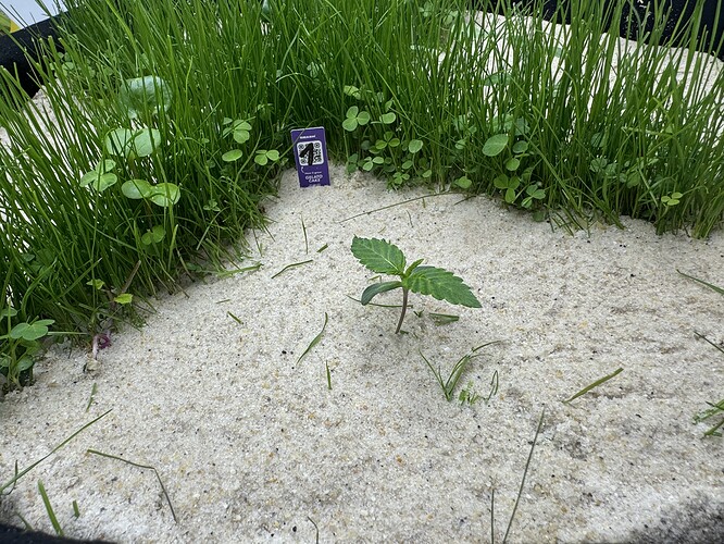 Growreport Bild 8