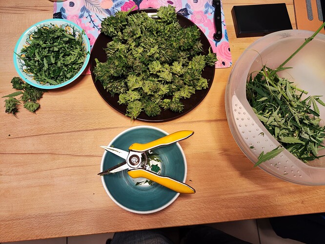 Growreport Bild 4