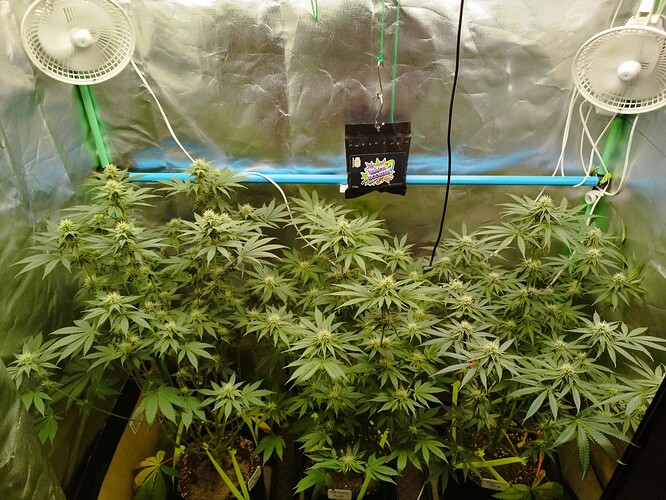 Growreport Bild 8