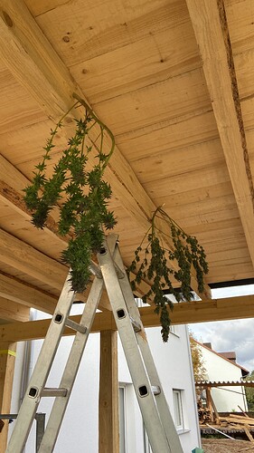 Growreport Bild 5