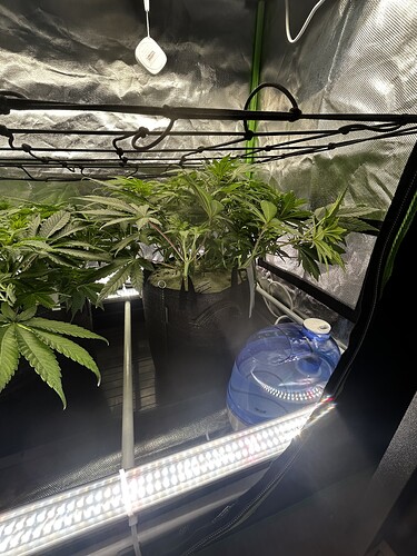 Growreport Bild 9