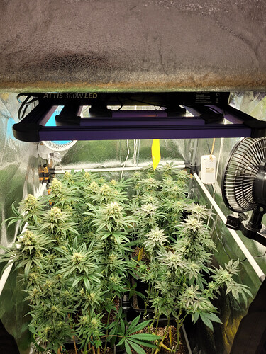 Growreport Bild 6